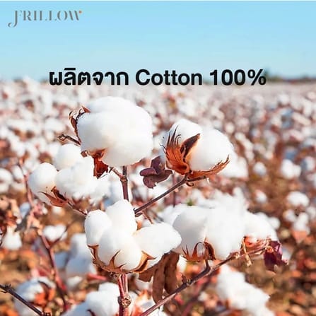 FRILLOW ผ้ารองที่นอน MICROGEL หนา 8 ซม ขนาด 5 ฟุต_6